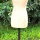 Old couture mannequin "au louvre" bust in fabrics and wood 1900 size 44