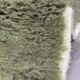 Contemporary Green Carpet - 302 x 258 cm