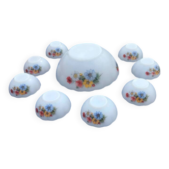 Acropal vintage desert / salad service Salad bowl + 8 bowls