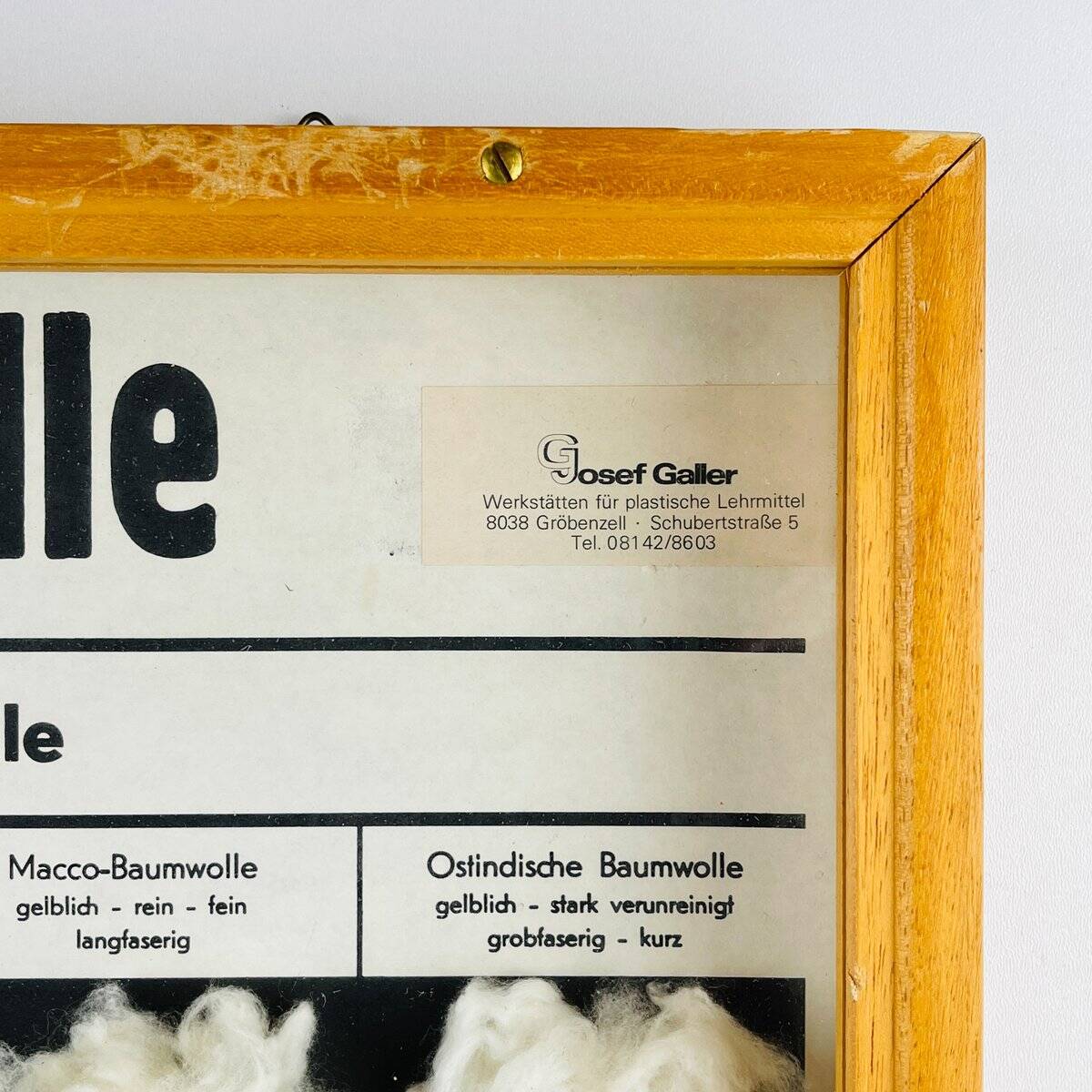 Vintage educational school display Cotton by Josef Galler, Germany, 1960s.