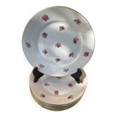 Many vintage dessert plates.