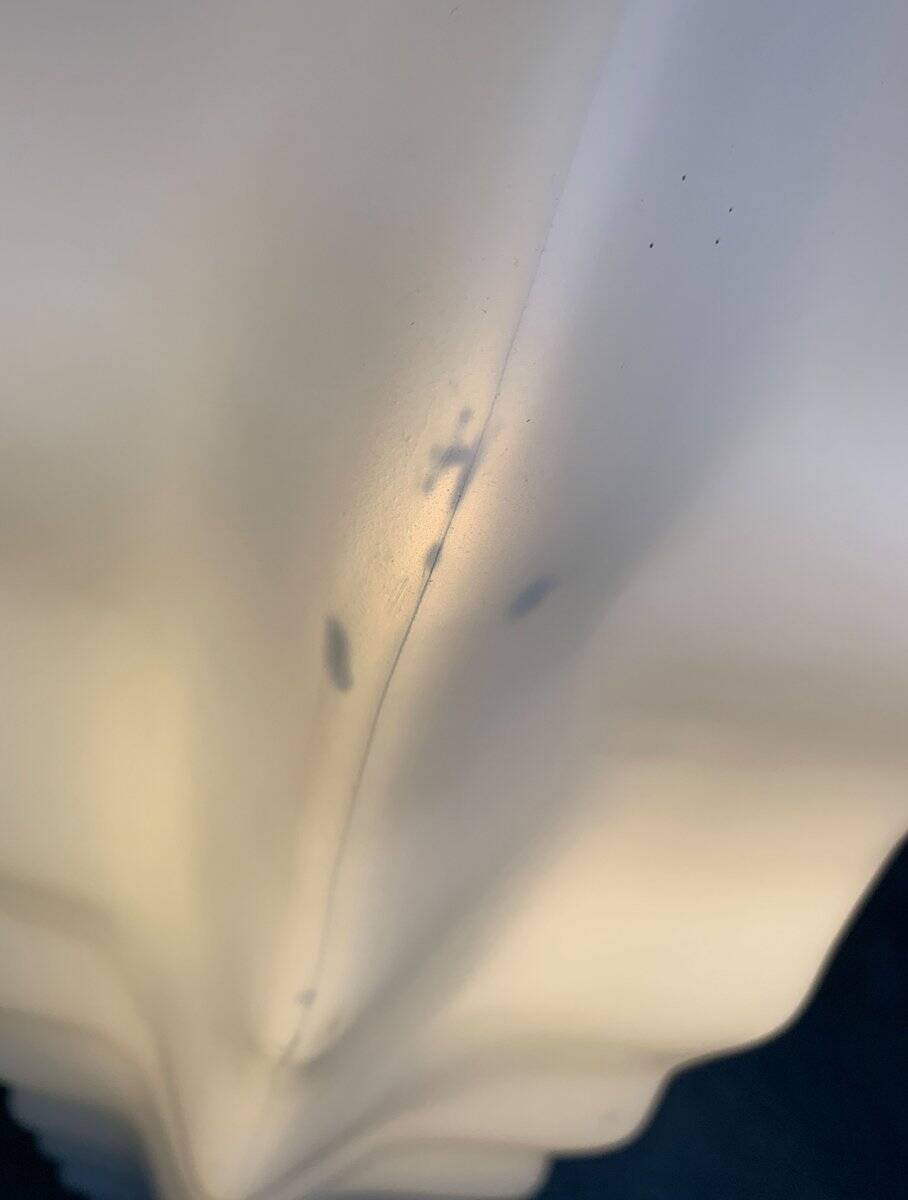 Cactus floor lamp Sucu postmodern German by Art Nowo for Flötotto