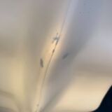 Cactus floor lamp Sucu postmodern German by Art Nowo for Flötotto