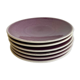 6 flat plates Jars Tourron Purple Uni
