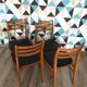 Set de 4 chaises scandinave vintage 1960
