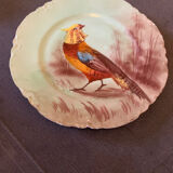 Assiette ancienne décorative haviland