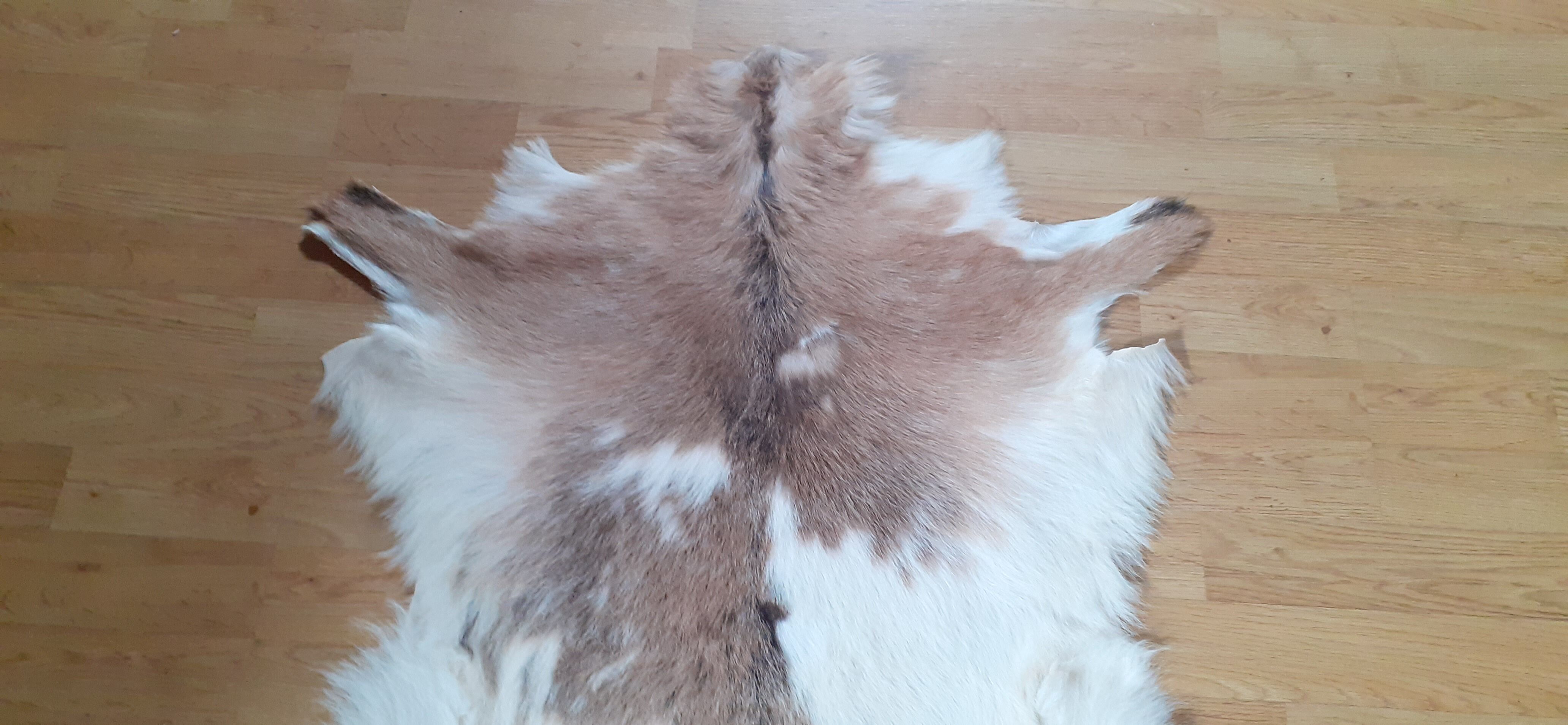New goatskin