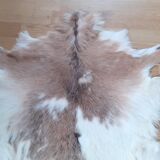 New goatskin