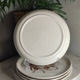 Speckled stoneware dinner plates