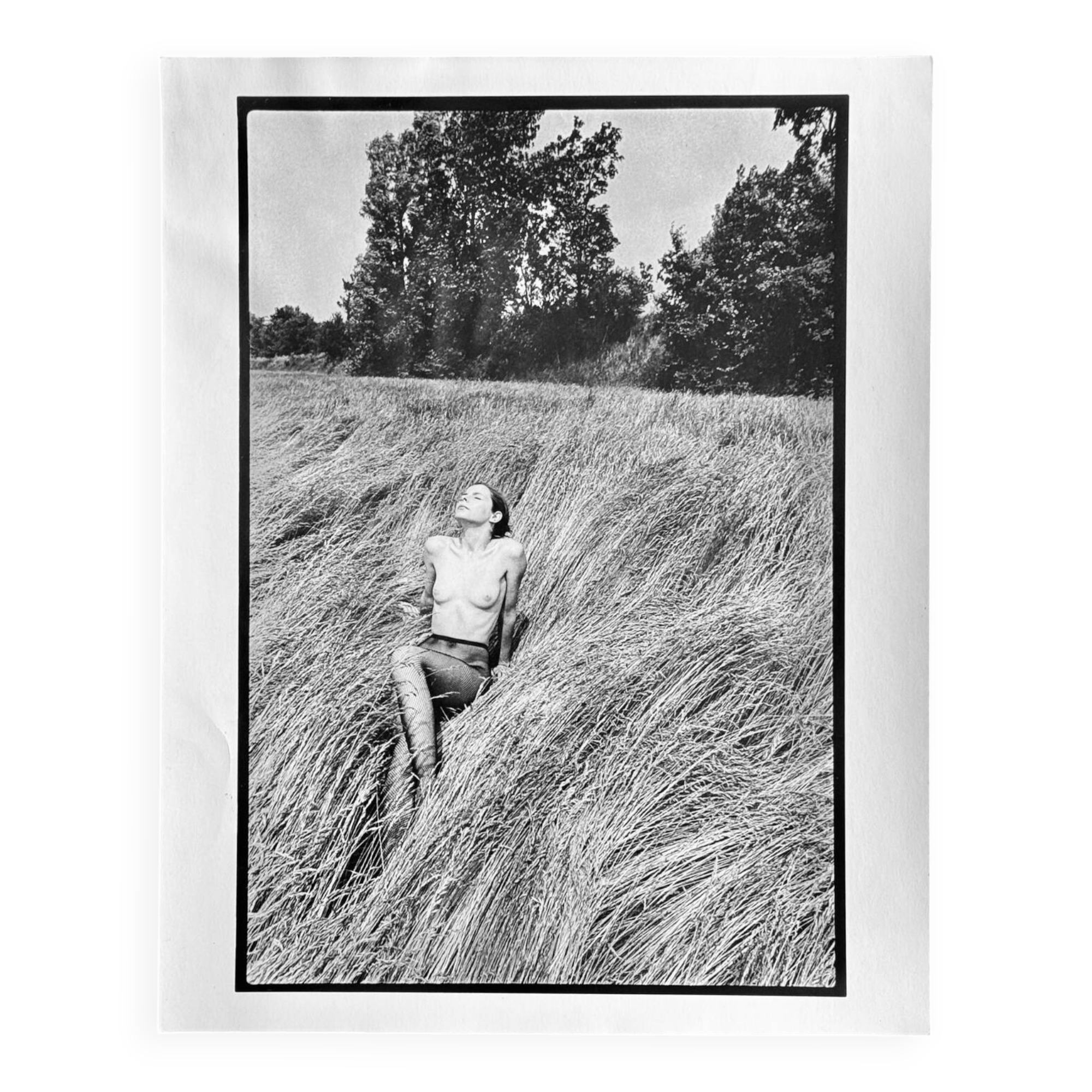 Michel Pinel (1949-2022) Nude in the tall grass - 2004