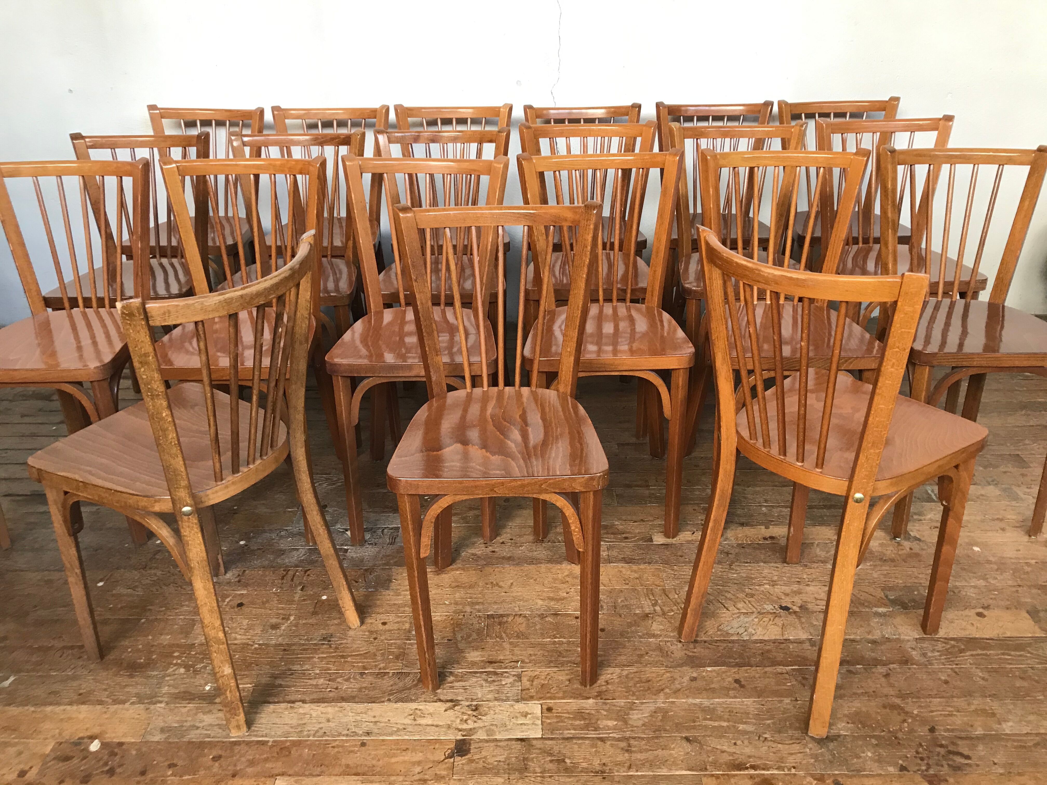Rare series of 50 chairs Baumann fanett vintage design 1950 1960