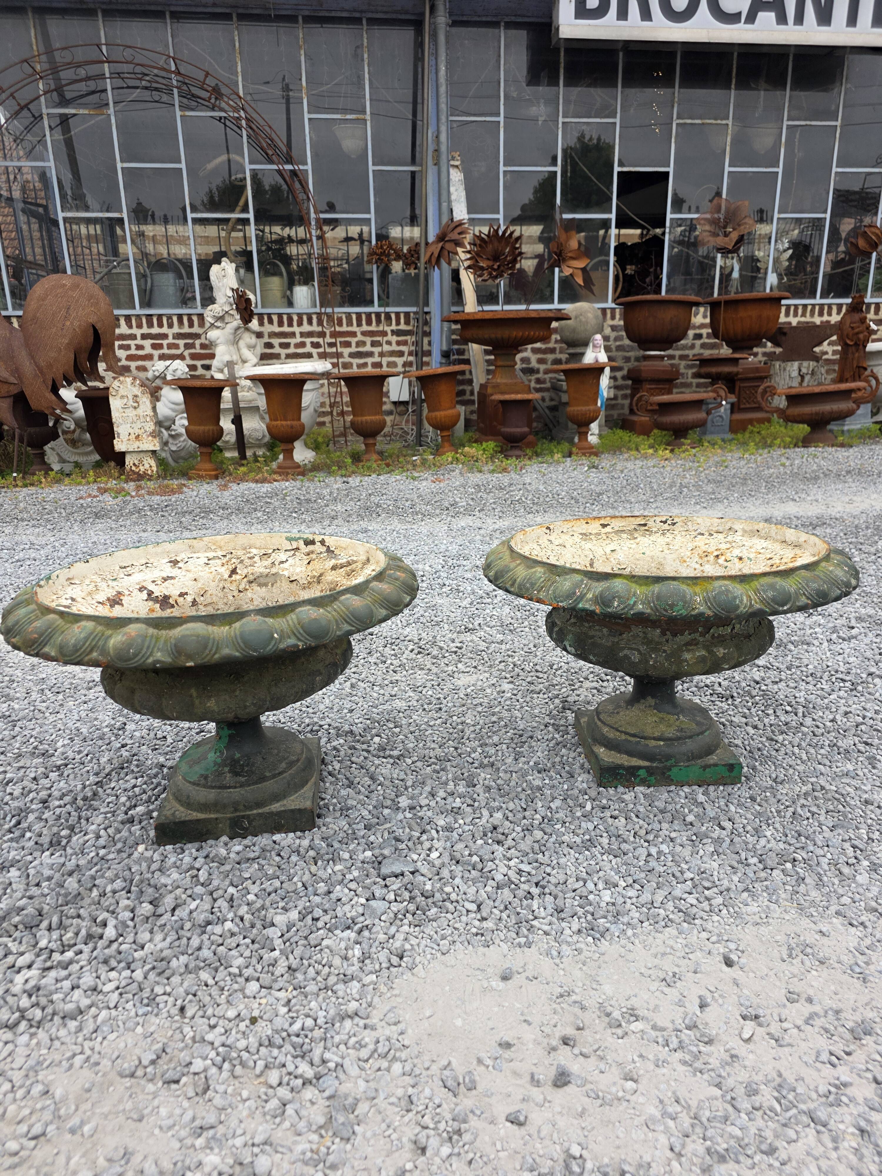Pair of Medici vases in cast iron from the 19th century, 55cm wide.