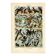 Gravure ancienne de 1923 - Oiseaux du monde par A. Millot - planche image