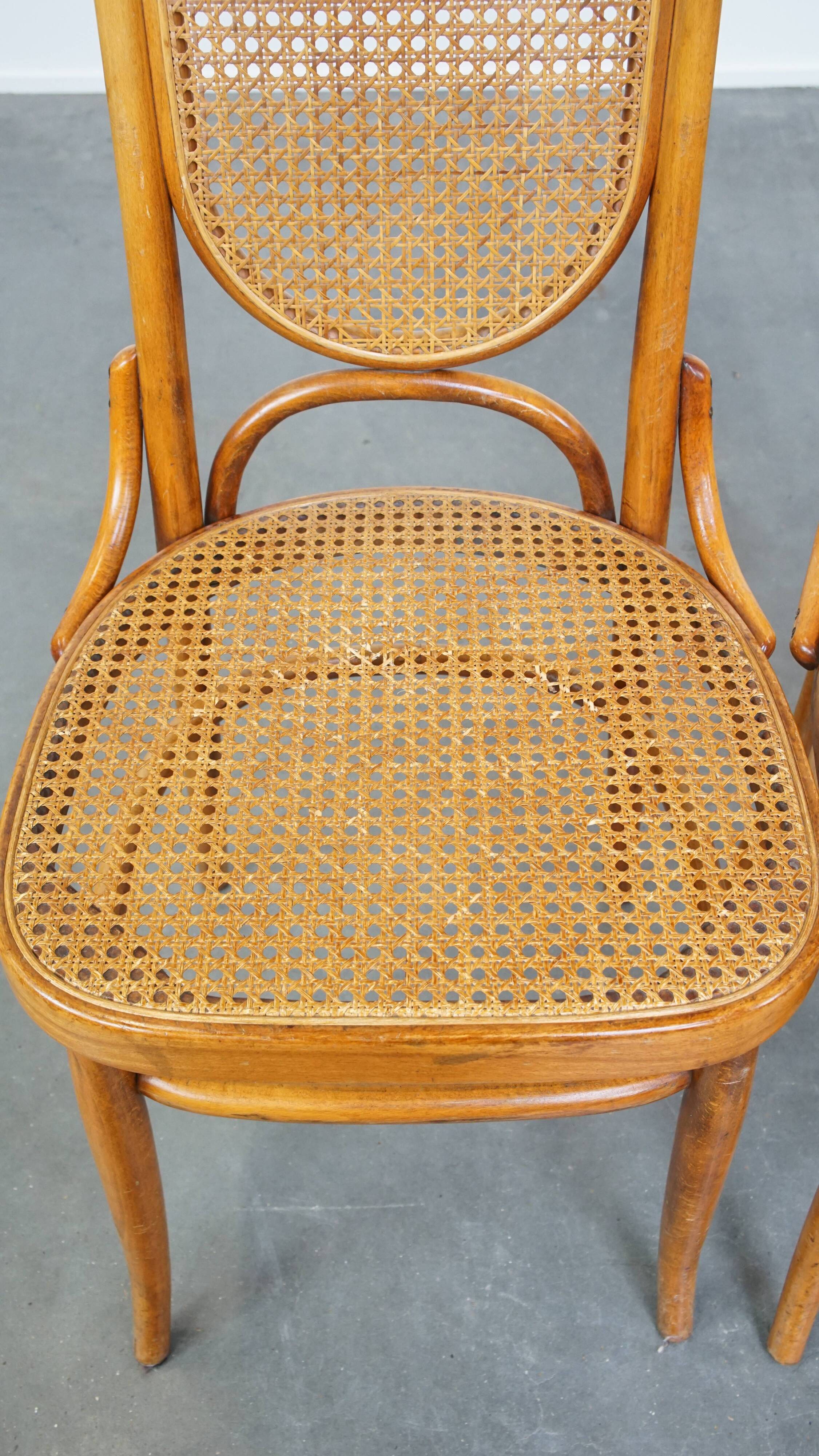 Set of 2 light brown bentwood Thonet style chairs model "Long John"