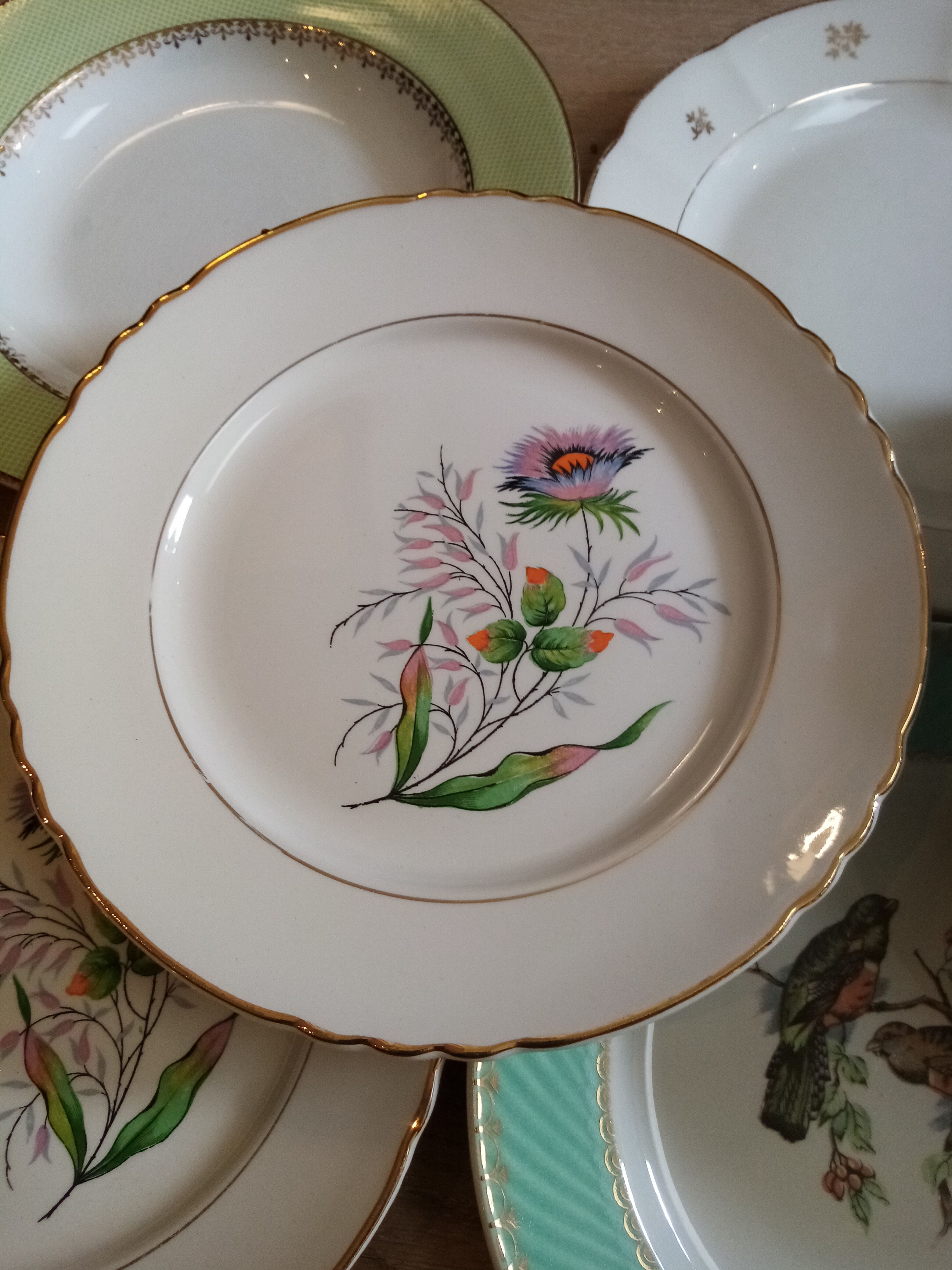 Vintage mismatched plates