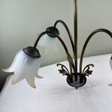 Art Nouveau chandelier