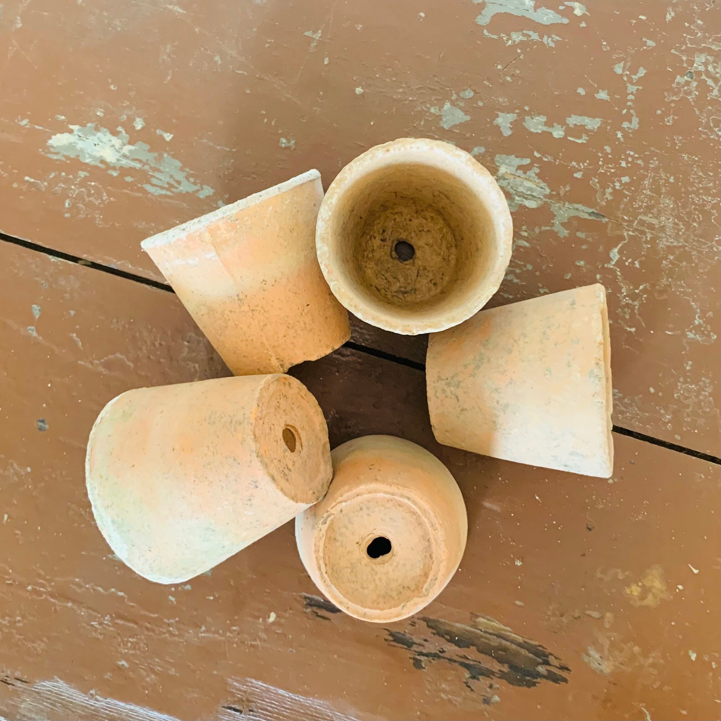 Lot of 5 terracotta pots circa 1930 graineterie