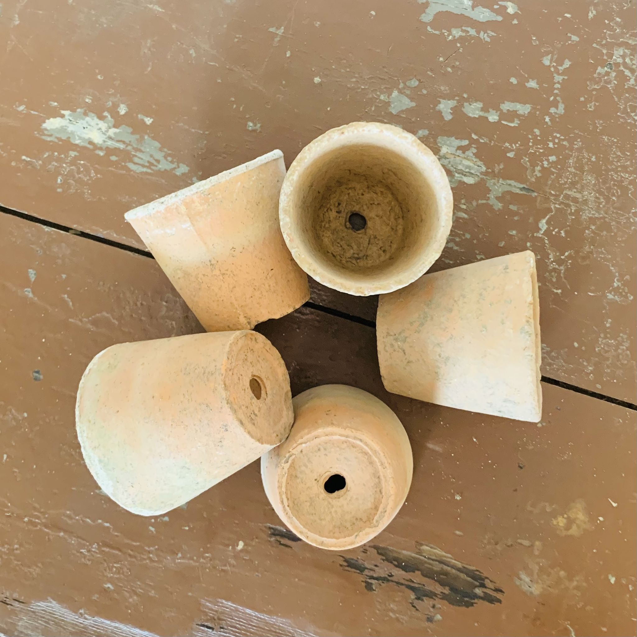 Lot de 5 pots en terre cuite circa 1930 graineterie
