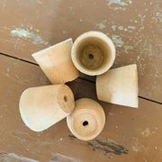 Lot de 5 pots en terre cuite circa 1930 graineterie