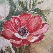 Aquarelle française de fleurs, coquelicots, signée DR