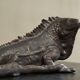 Lizard Studio Pottery from the 1960s