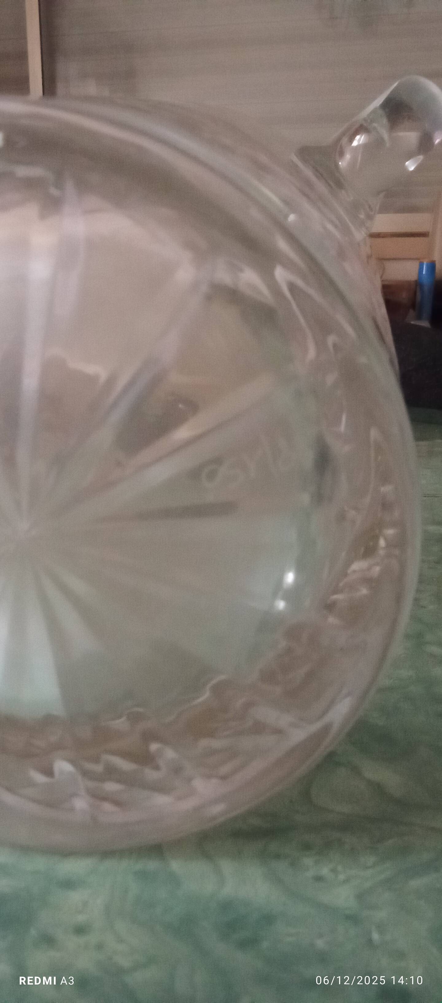 Valery Klein champagne bucket, numbered Baccarat crystal, brand new with certificate.