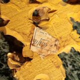 Golden wall shelf in Rococo style from the 1950s.