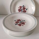 7 Salins Odile soup plates – raspberry flowers & blue border