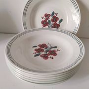 7 Salins Odile soup plates – raspberry flowers & blue border
