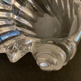 Empty crystal pocket in the shape of a shell