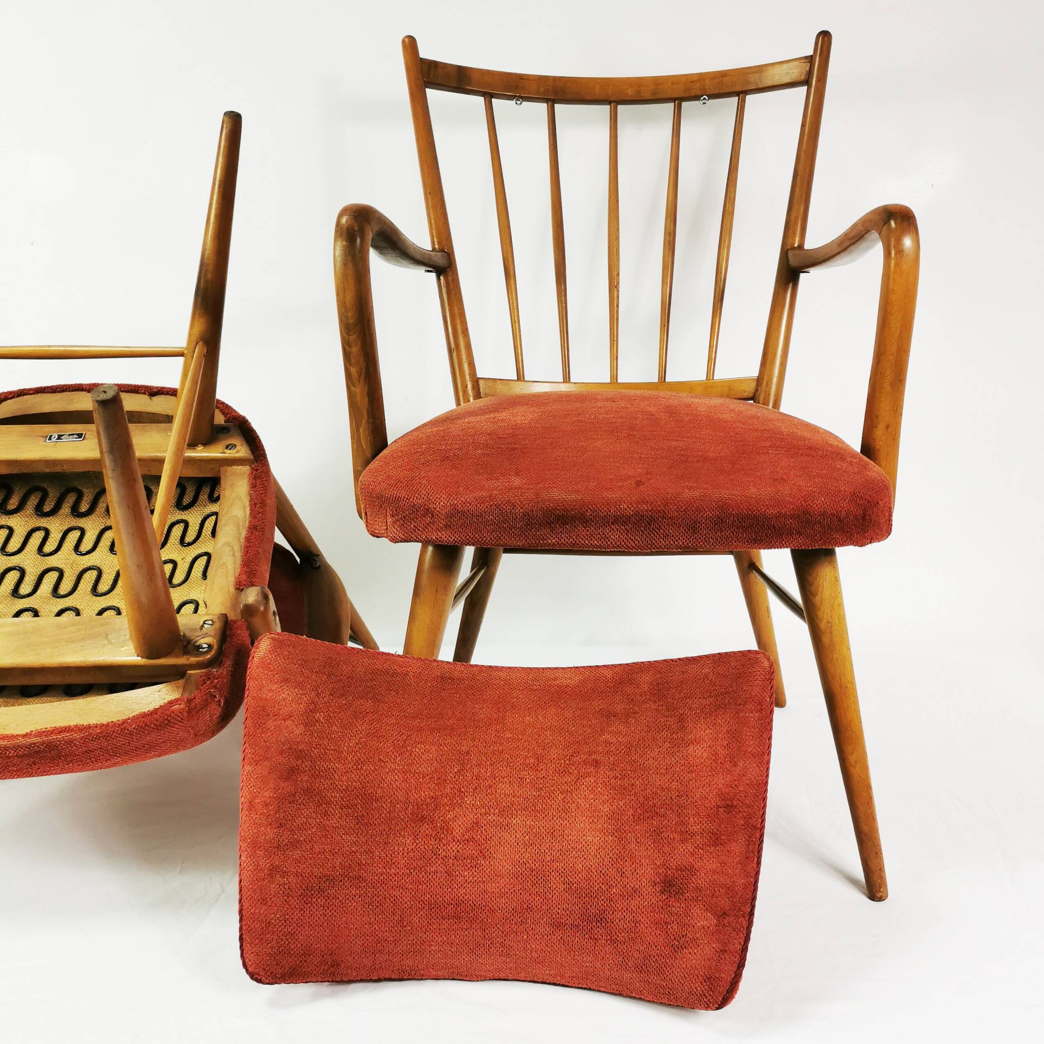 Mid Century Chairs, Casala, Germany 1950s