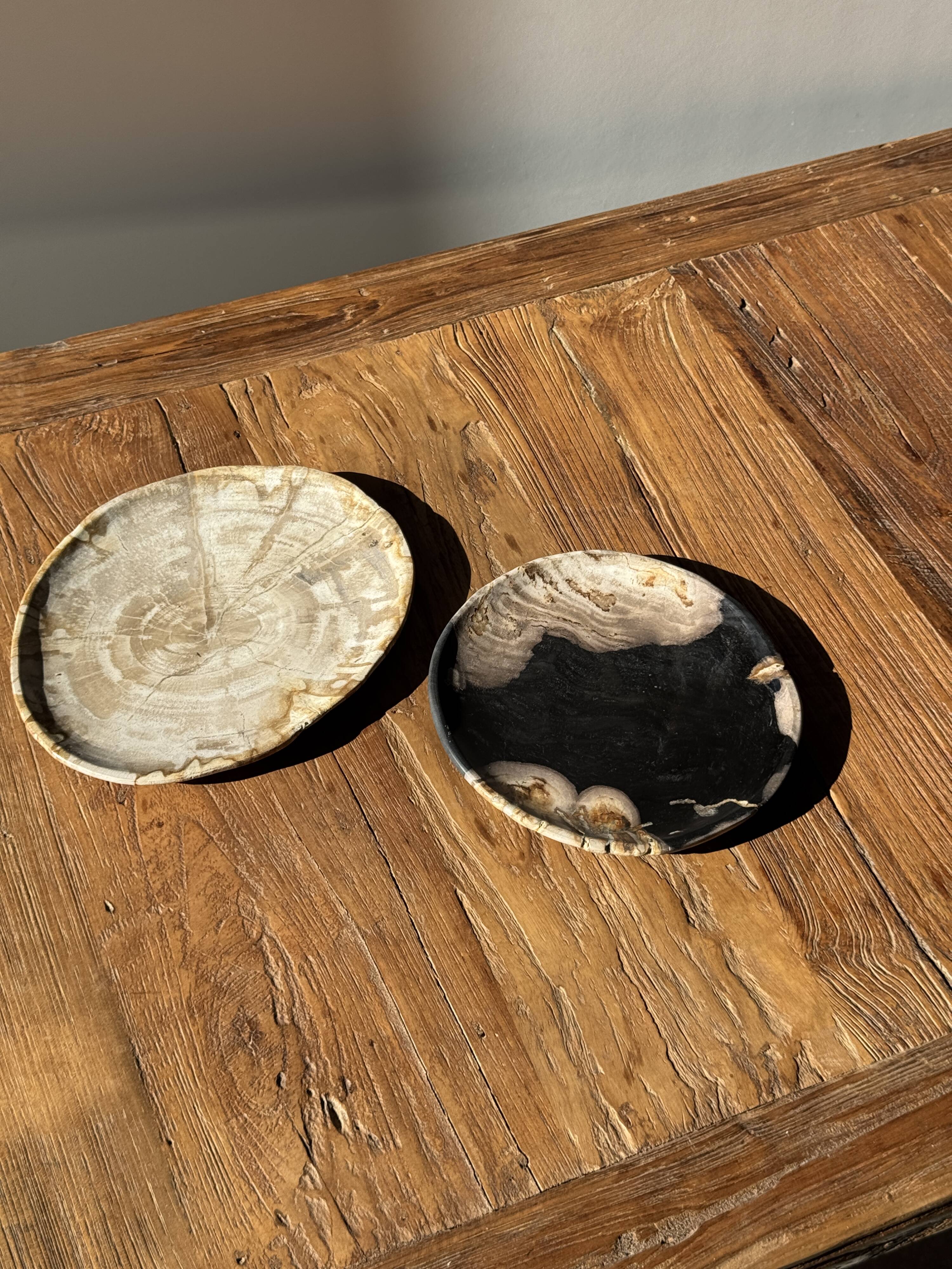 Small pocket tray or dish in black and beige petrified wood D20.5 -3317