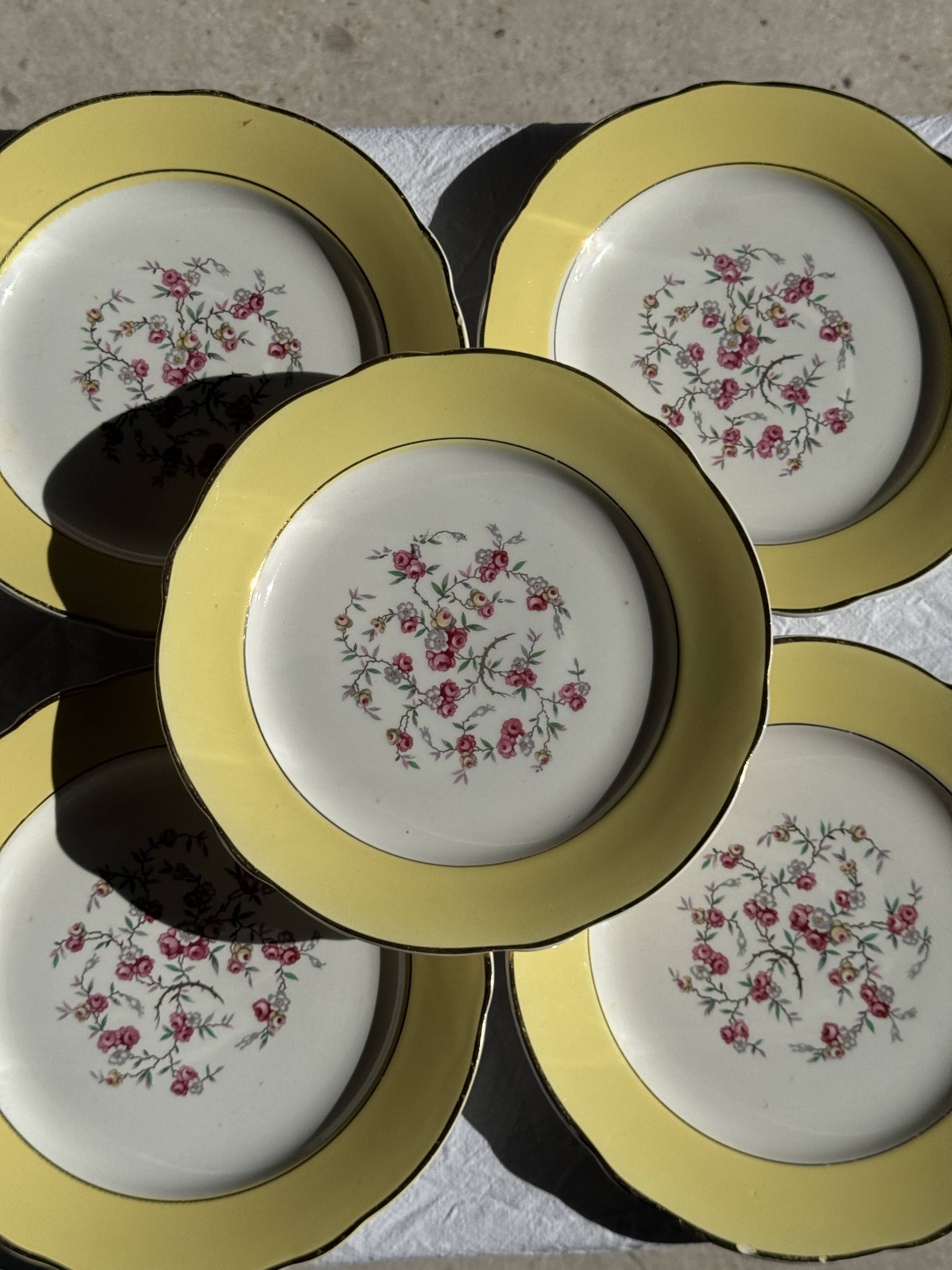 Lot de 19 grandes assiettes plates vintage jaunes fleurs roses liseré doré