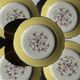 Lot de 19 grandes assiettes plates vintage jaunes fleurs roses liseré doré
