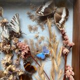 Vintage frame with butterflies and dried flowers