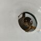 Enamelled sheet metal suspension