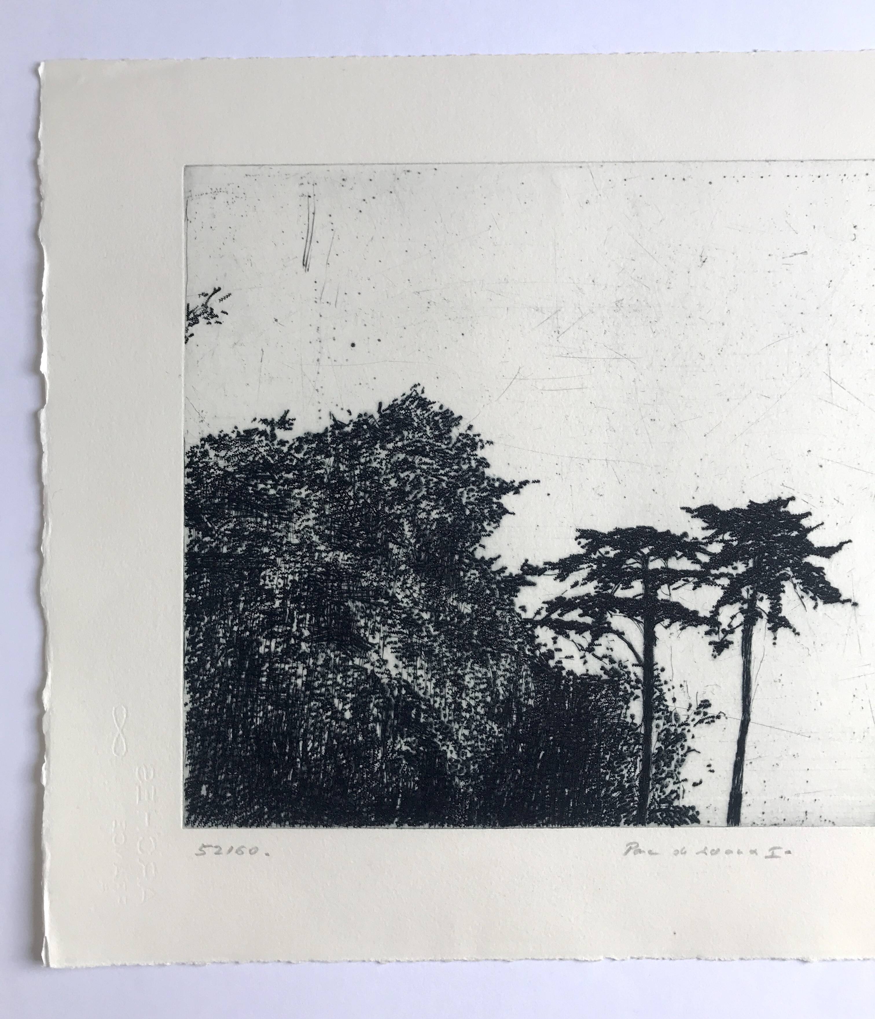 Nicole BOUHARMONT, Parc de Sceaux I, 2003-16. Drypoint signed in pencil