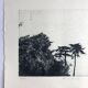 Nicole BOUHARMONT, Parc de Sceaux I, 2003-16. Drypoint signed in pencil