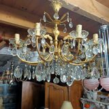 Grape variety chandelier