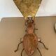 Brass fly ashtray 1970