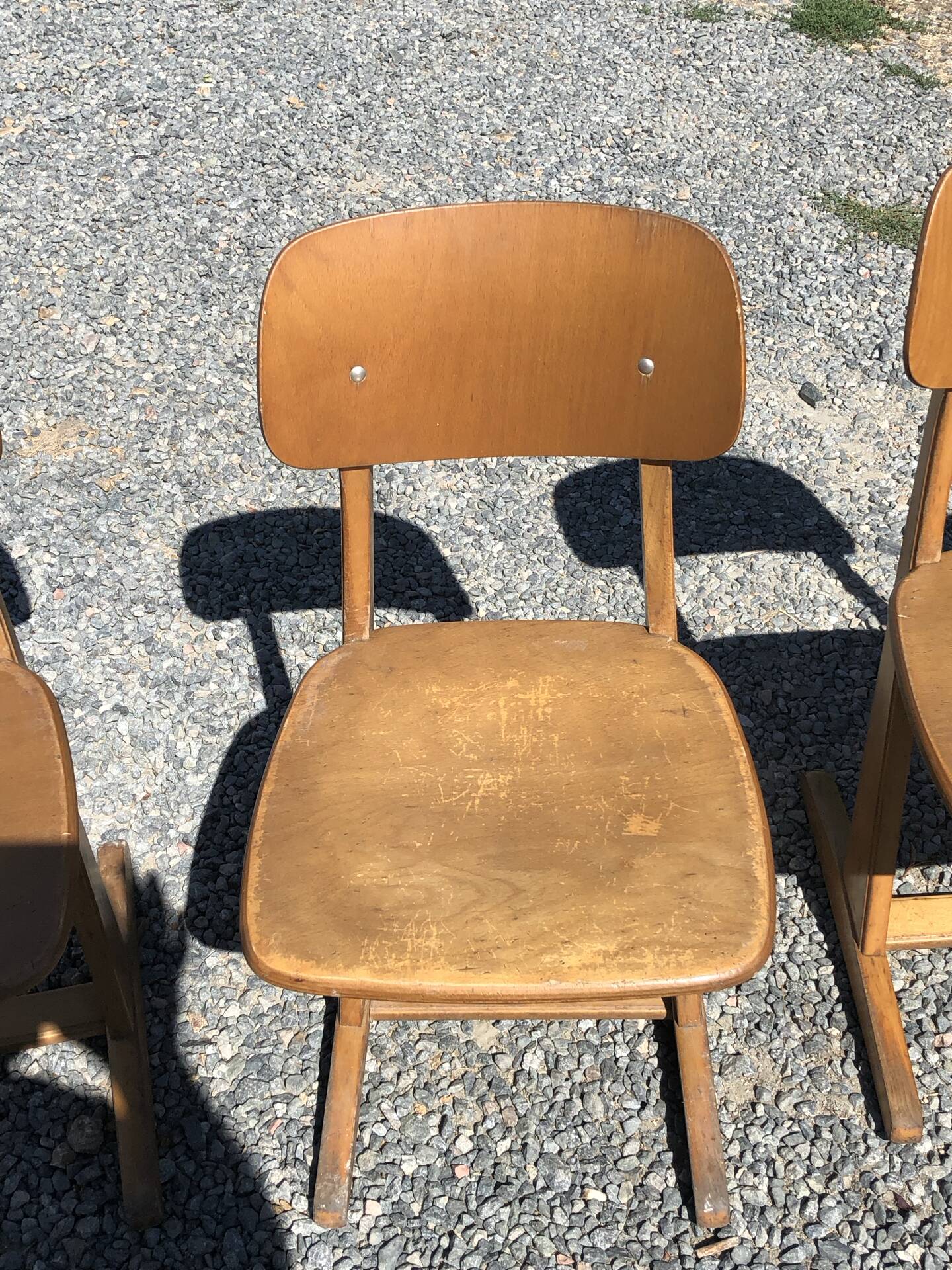 Casala chairs