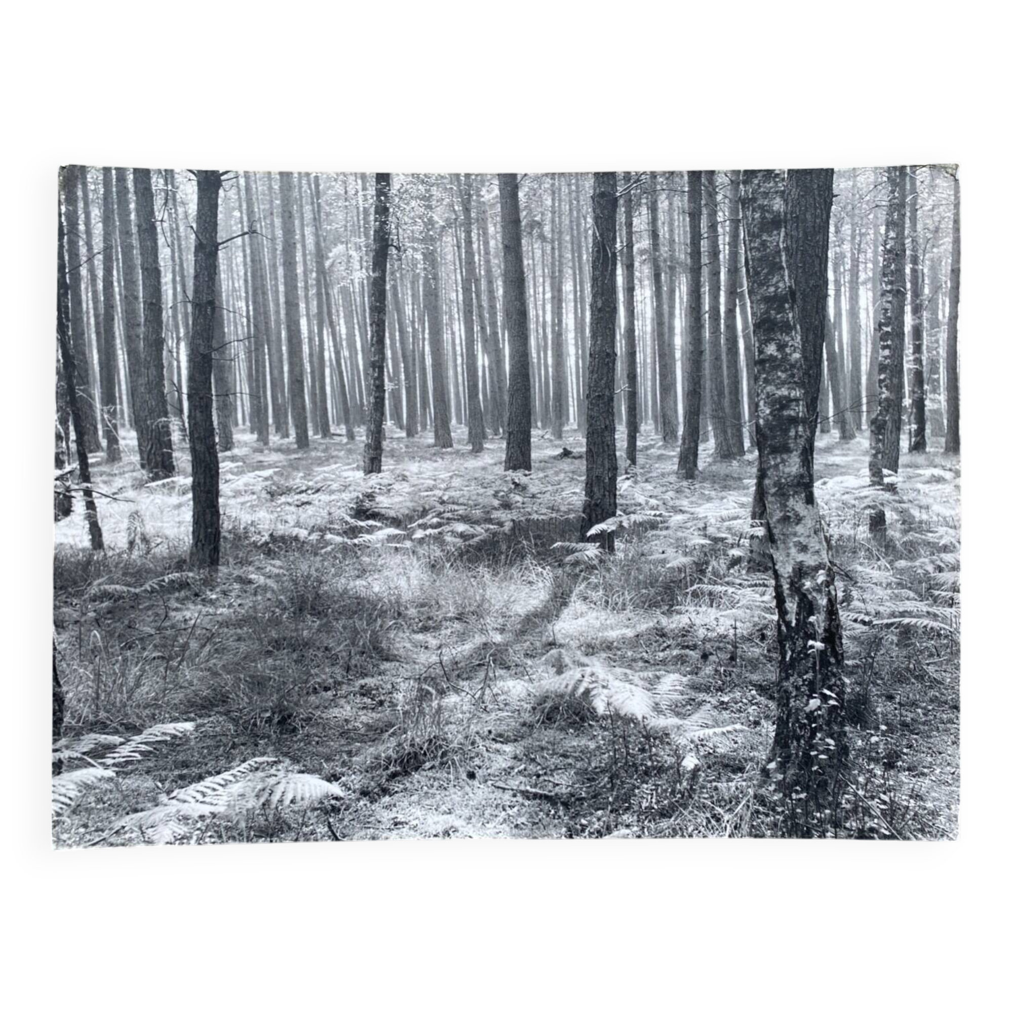 Film photography by Bernard Darot, Fougères II Club Nantais AFIAP