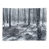 Film photography by Bernard Darot, Fougères II Club Nantais AFIAP