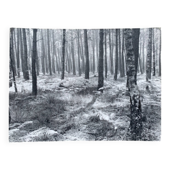 Film photography by Bernard Darot, Fougères II Club Nantais AFIAP