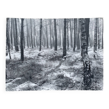 Film photography by Bernard Darot, Fougères II Club Nantais AFIAP