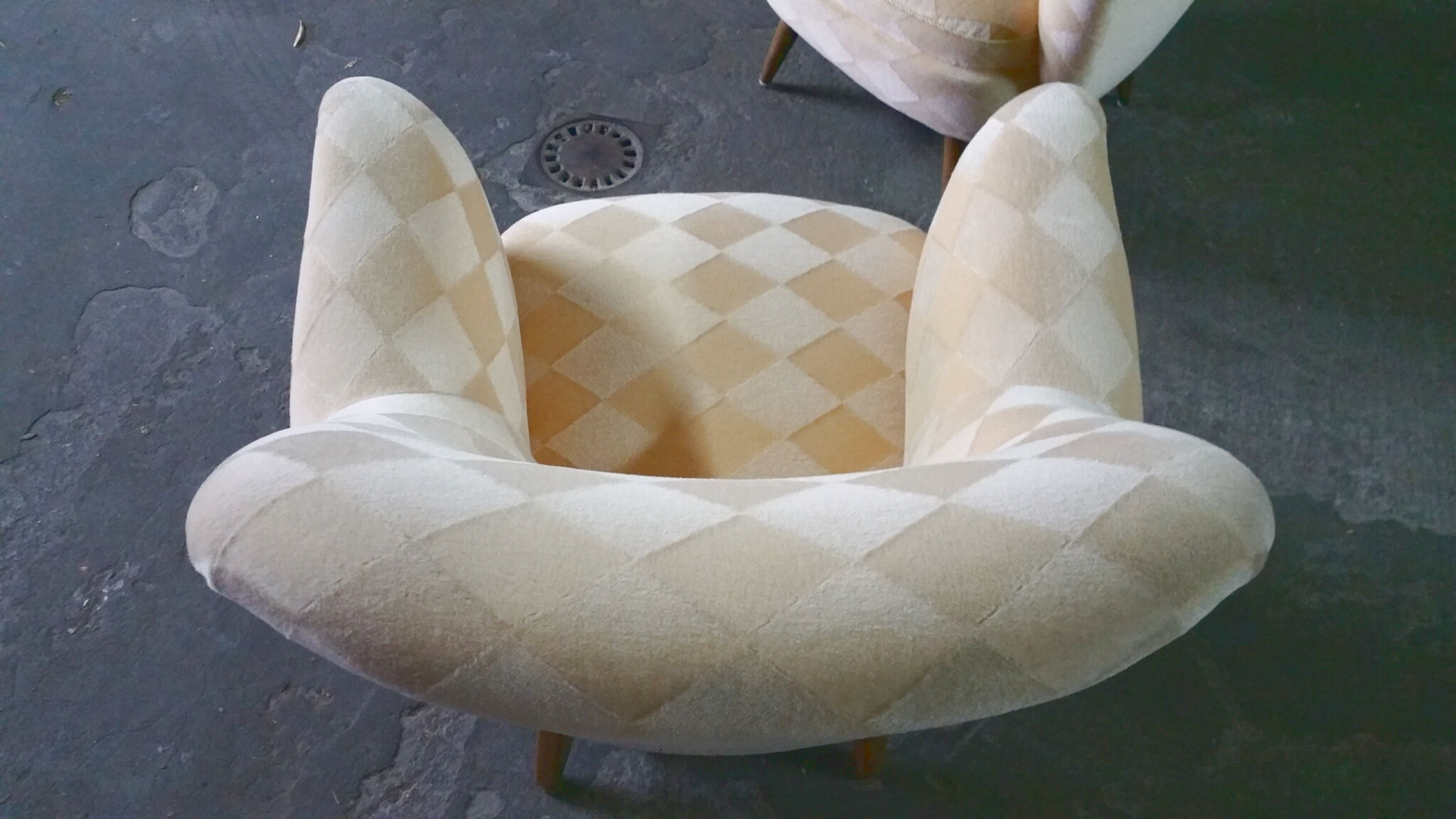 Organic year 50-60 club chairs pair