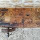Established in elm and oak