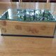 Beveled mirror jewelry box