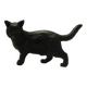 Vienna bronze/cat