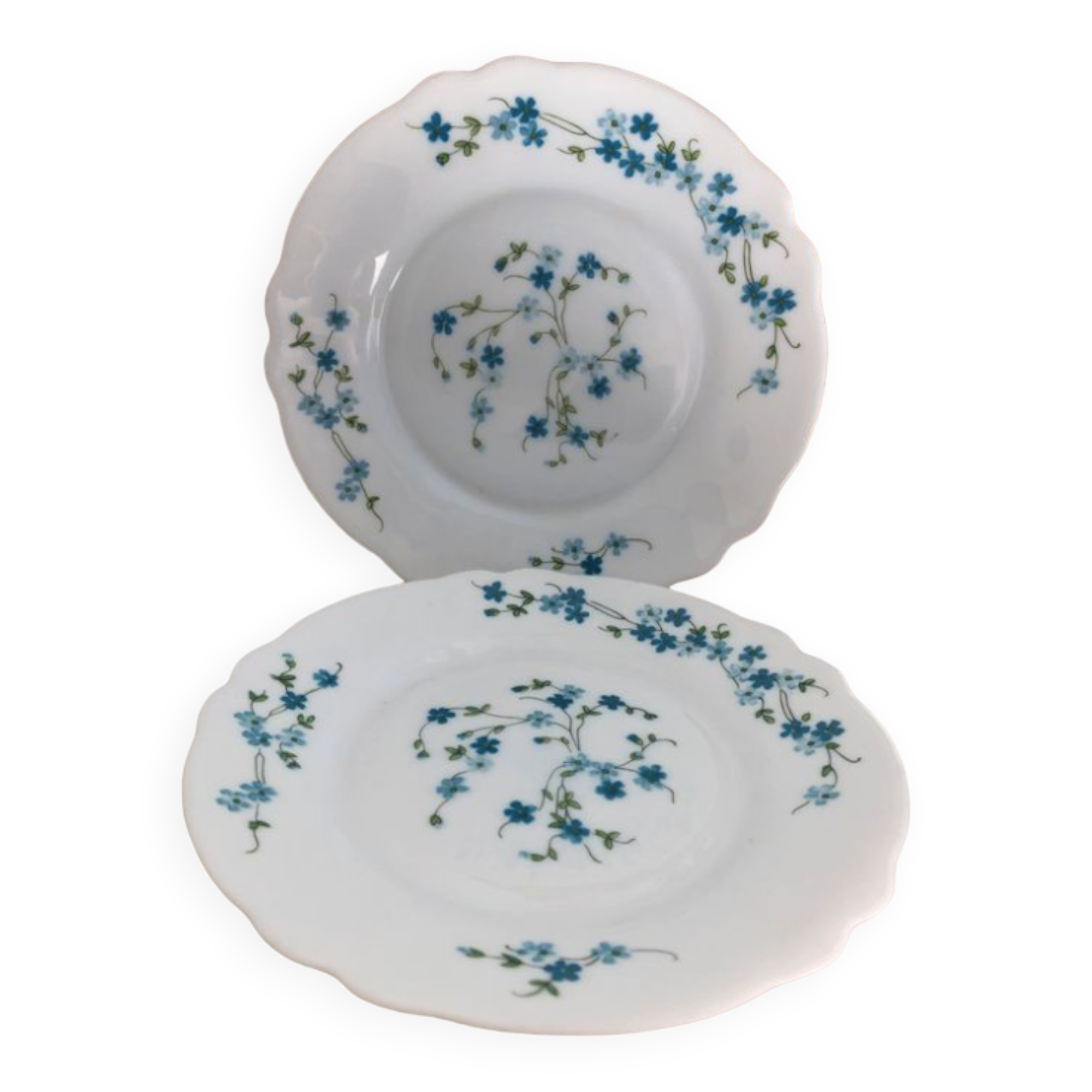 Vintage lot de 6 assiettes à dessert Arcopal véronica myosotis
